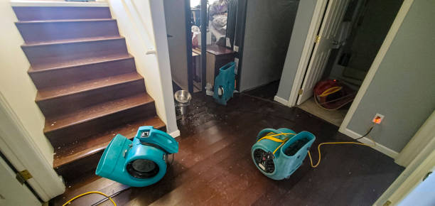 Best Carpet water damage restoration  in North Lindenhurst, NY