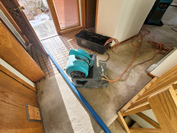 Best 24-hour water damage restoration  in North Lindenhurst, NY