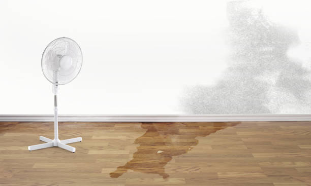 Best Water damage restoration near me  in North Lindenhurst, NY