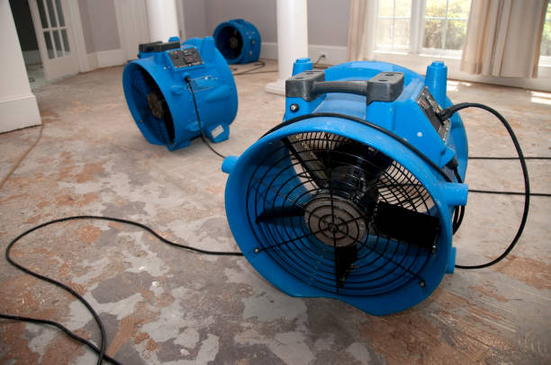 Best Mold removal after water damage  in North Lindenhurst, NY